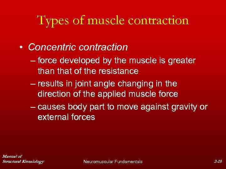 Types of muscle contraction • Concentric contraction – force developed by the muscle is