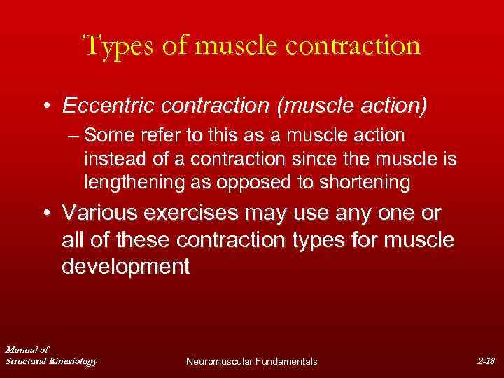 Types of muscle contraction • Eccentric contraction (muscle action) – Some refer to this