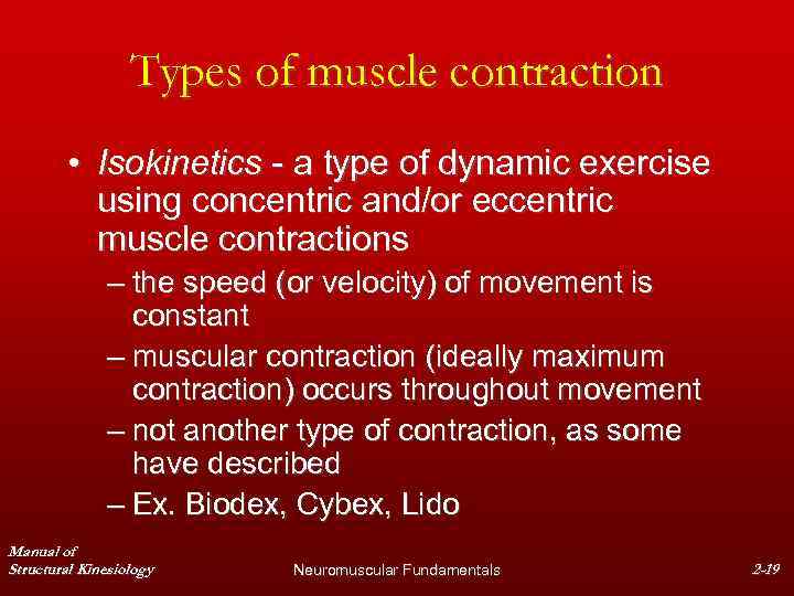 Types of muscle contraction • Isokinetics - a type of dynamic exercise using concentric