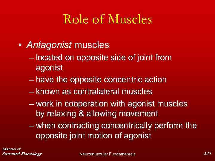 Role of Muscles • Antagonist muscles – located on opposite side of joint from