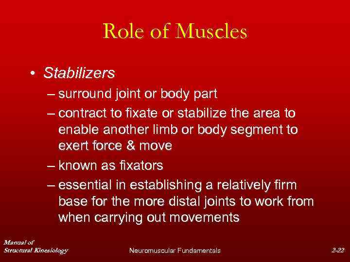 Role of Muscles • Stabilizers – surround joint or body part – contract to