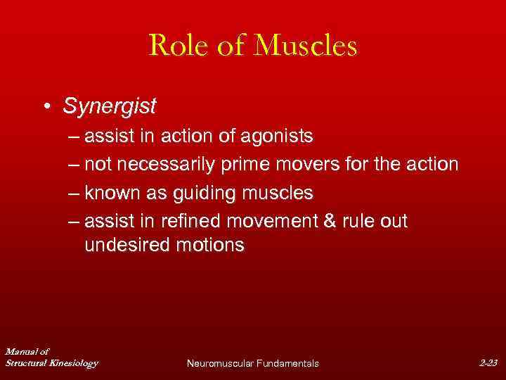 Role of Muscles • Synergist – assist in action of agonists – not necessarily