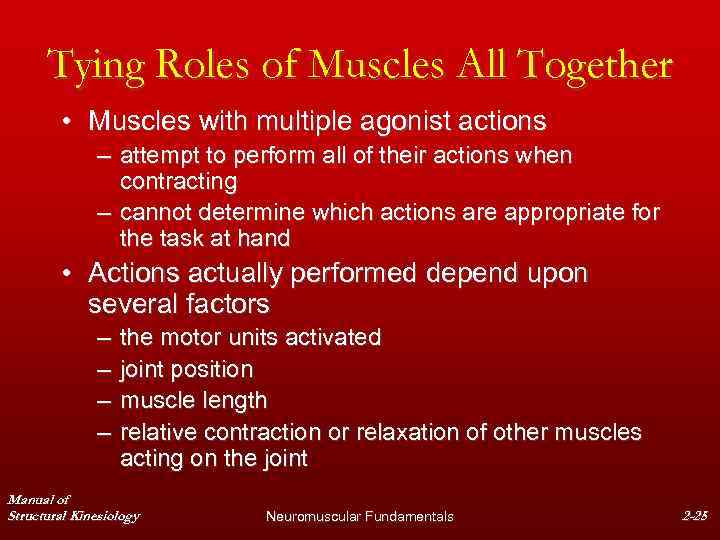 Tying Roles of Muscles All Together • Muscles with multiple agonist actions – attempt