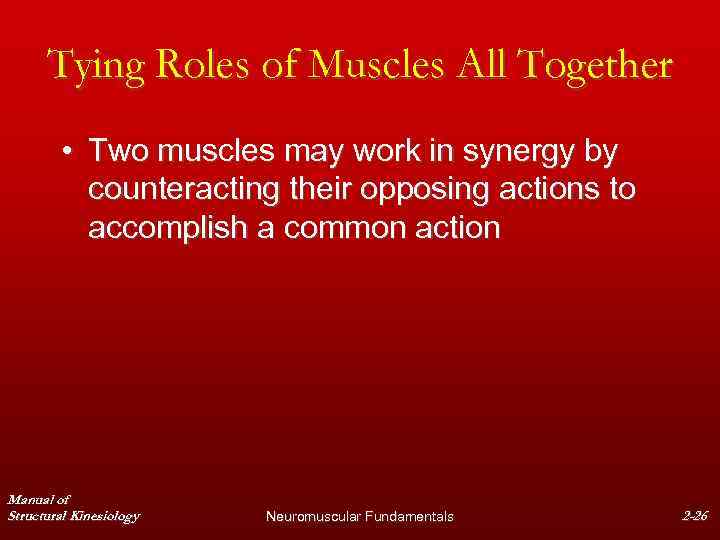 Tying Roles of Muscles All Together • Two muscles may work in synergy by