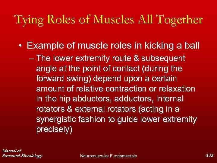 Tying Roles of Muscles All Together • Example of muscle roles in kicking a