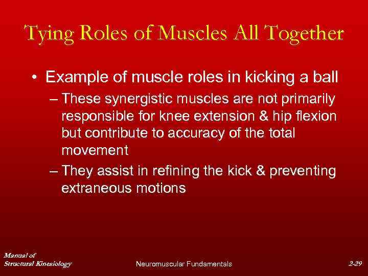 Tying Roles of Muscles All Together • Example of muscle roles in kicking a