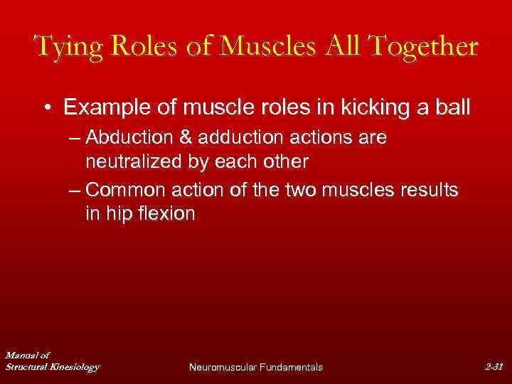 Tying Roles of Muscles All Together • Example of muscle roles in kicking a