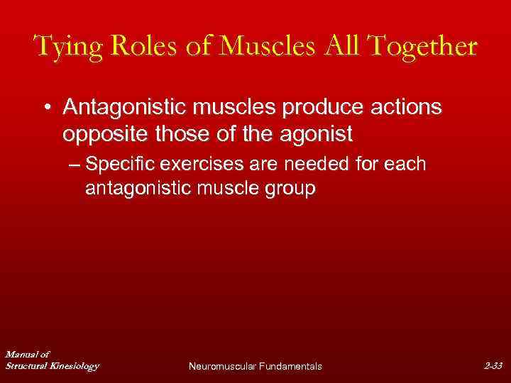 Tying Roles of Muscles All Together • Antagonistic muscles produce actions opposite those of