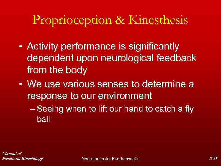 Proprioception & Kinesthesis • Activity performance is significantly dependent upon neurological feedback from the