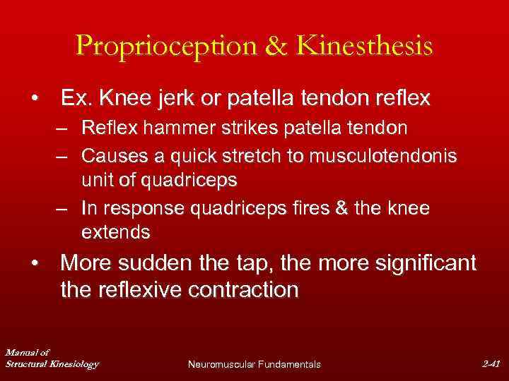 Proprioception & Kinesthesis • Ex. Knee jerk or patella tendon reflex – Reflex hammer