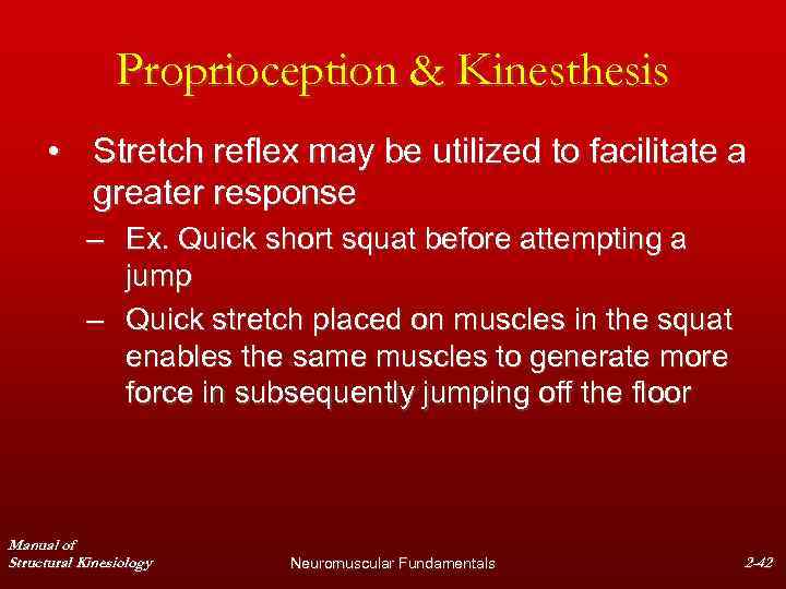 Proprioception & Kinesthesis • Stretch reflex may be utilized to facilitate a greater response