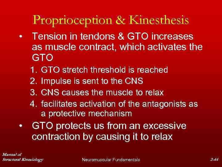 Proprioception & Kinesthesis • Tension in tendons & GTO increases as muscle contract, which