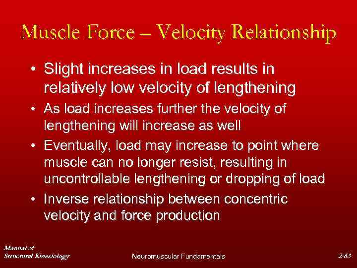 Muscle Force – Velocity Relationship • Slight increases in load results in relatively low