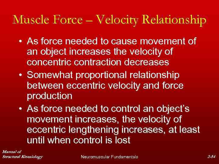 Muscle Force – Velocity Relationship • As force needed to cause movement of an