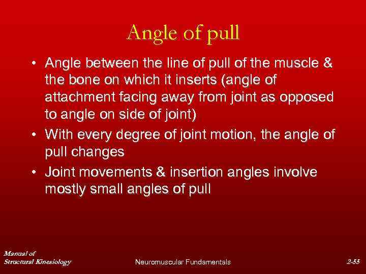 Angle of pull • Angle between the line of pull of the muscle &