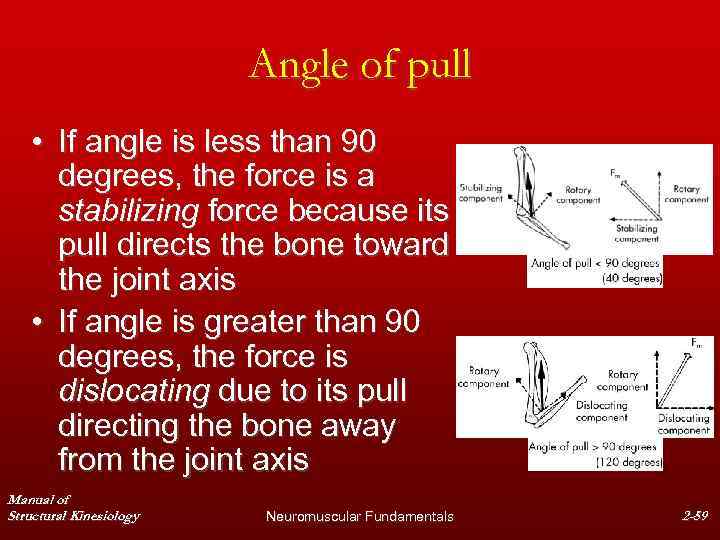 Angle of pull • If angle is less than 90 degrees, the force is