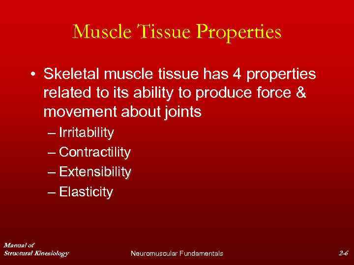 Muscle Tissue Properties • Skeletal muscle tissue has 4 properties related to its ability