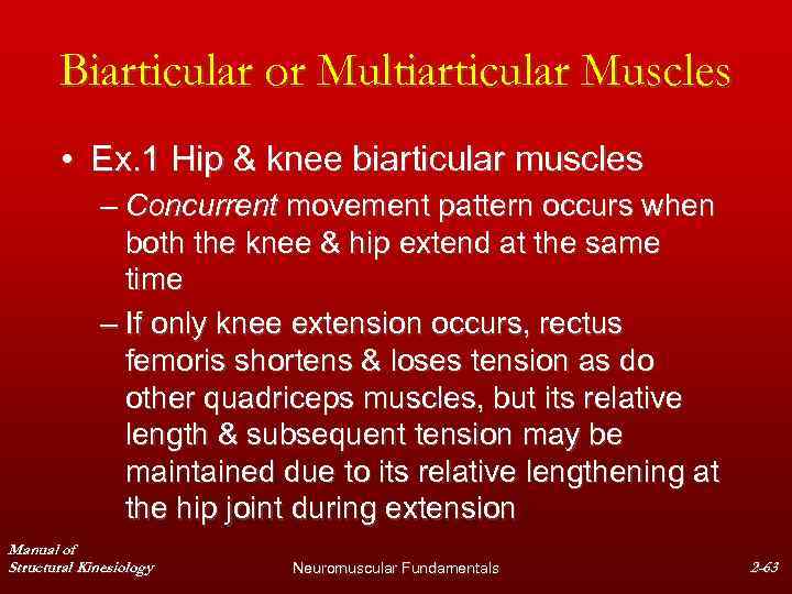 Biarticular or Multiarticular Muscles • Ex. 1 Hip & knee biarticular muscles – Concurrent