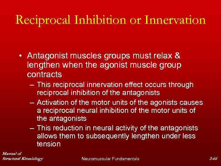 Reciprocal Inhibition or Innervation • Antagonist muscles groups must relax & lengthen when the