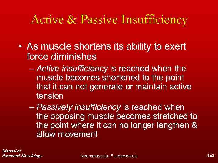 Active & Passive Insufficiency • As muscle shortens its ability to exert force diminishes