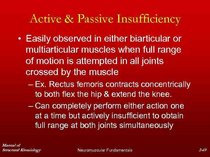 Active & Passive Insufficiency • Easily observed in either biarticular or multiarticular muscles when