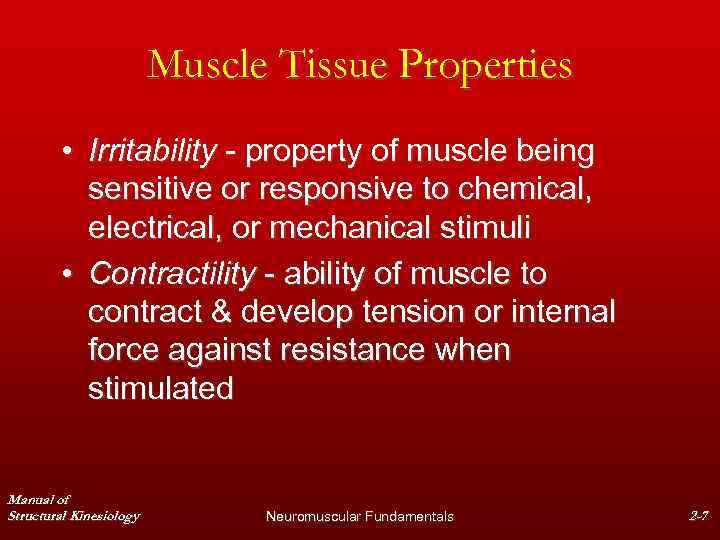 Muscle Tissue Properties • Irritability - property of muscle being sensitive or responsive to