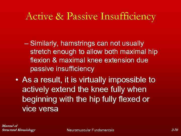 Active & Passive Insufficiency – Similarly, hamstrings can not usually stretch enough to allow