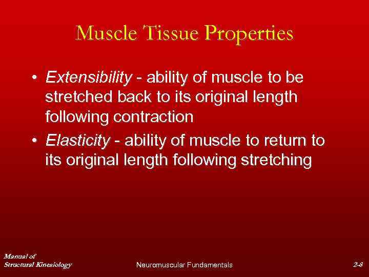 Muscle Tissue Properties • Extensibility - ability of muscle to be stretched back to