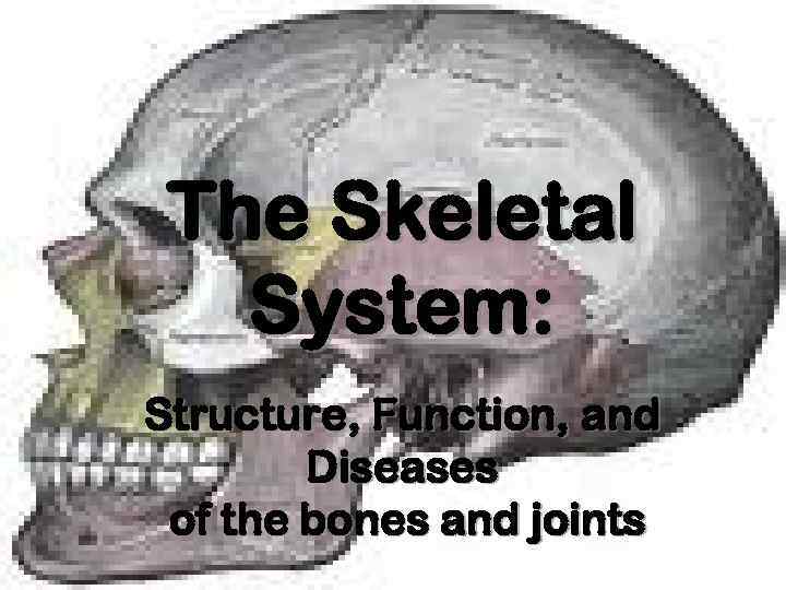 The Skeletal System: Structure, Function, and Diseases of the bones and joints 