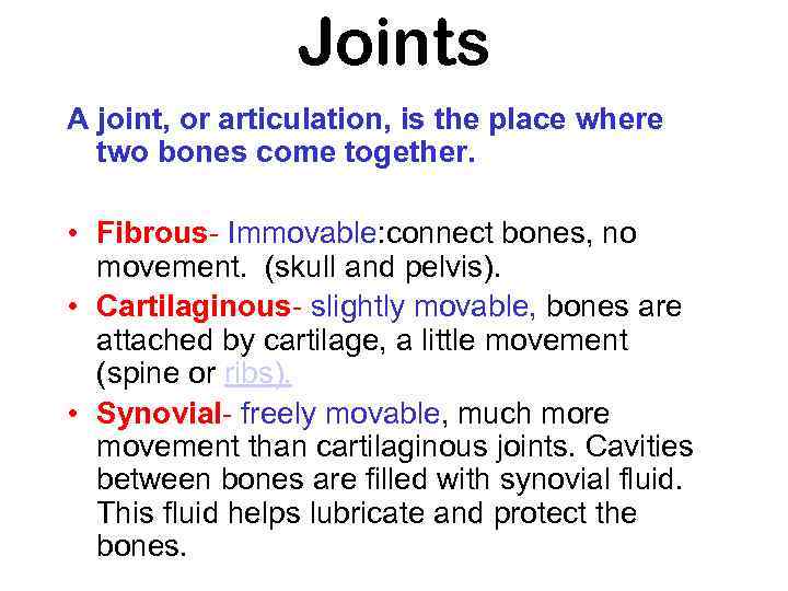 Joints A joint, or articulation, is the place where two bones come together. •