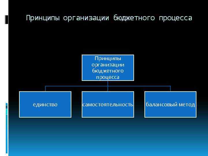 Принципы организации бюджетного процесса единство самостоятельность балансовый метод 