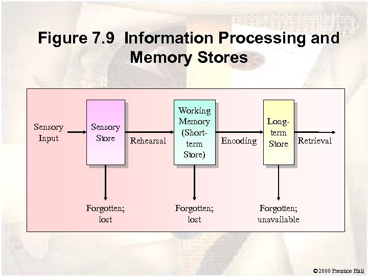 Figure 7. 9 Information Processing and Memory Stores Sensory Input Sensory Store Forgotten; lost