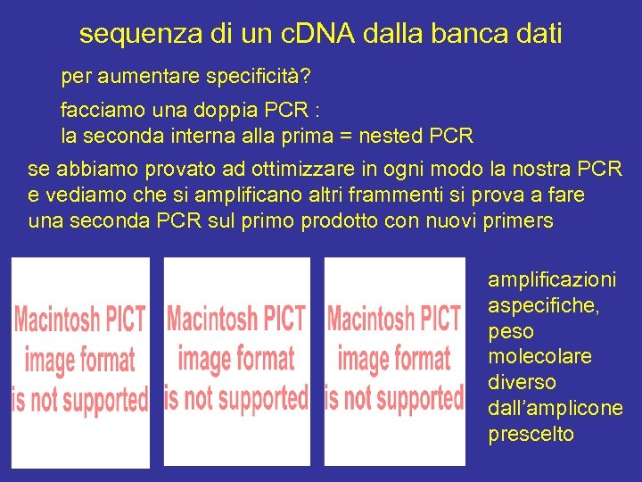 sequenza di un c. DNA dalla banca dati per aumentare specificità? facciamo una doppia