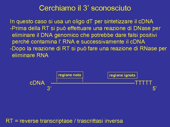 Cerchiamo il 3’ sconosciuto In questo caso si usa un oligo d. T per