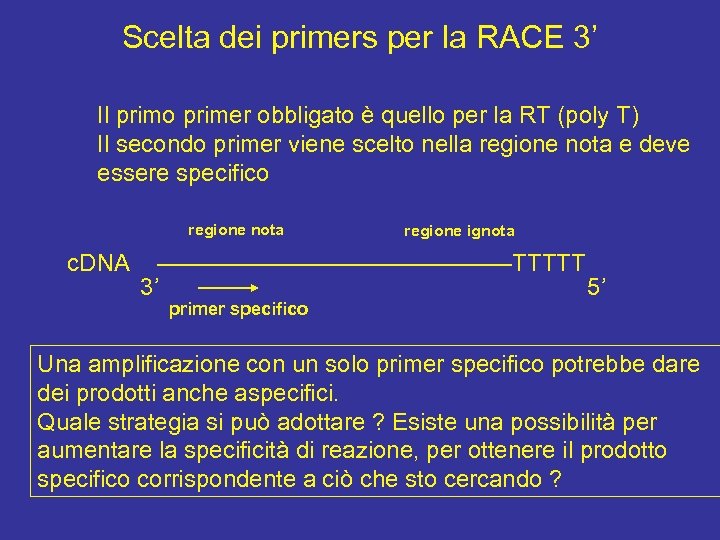 Scelta dei primers per la RACE 3’ Il primo primer obbligato è quello per