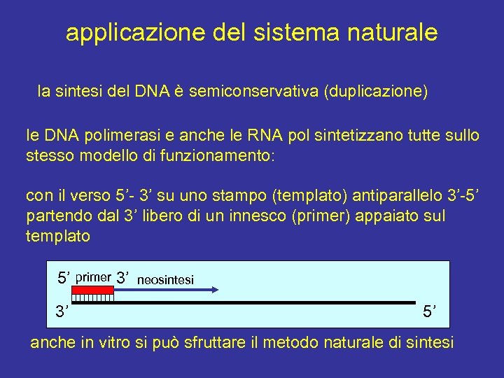 applicazione del sistema naturale la sintesi del DNA è semiconservativa (duplicazione) le DNA polimerasi