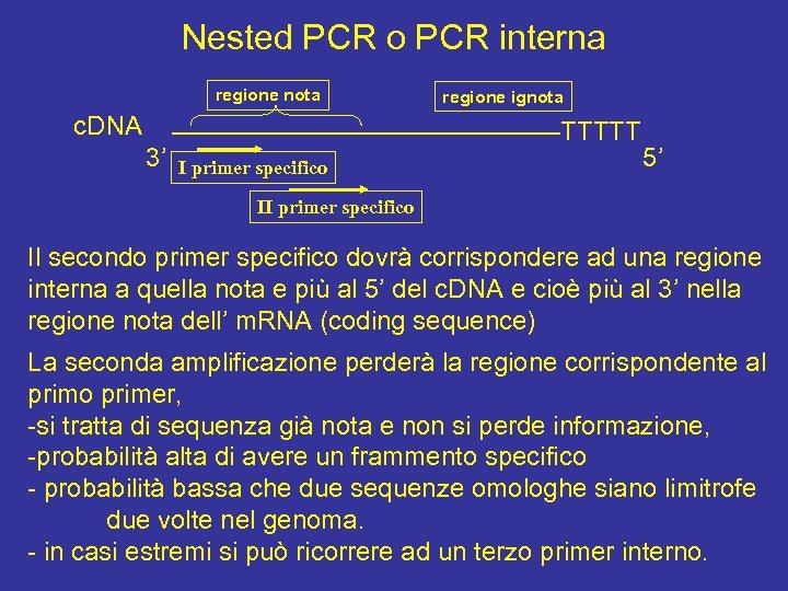 Nested PCR o PCR interna regione nota c. DNA 3’ regione ignota TTTTT I