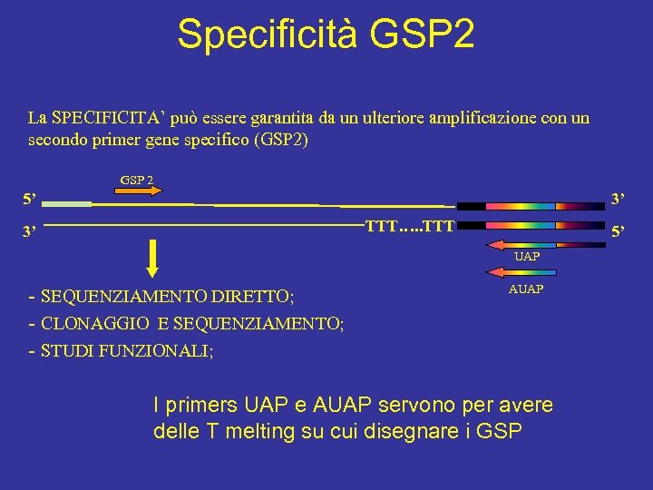 Specificità GSP 2 La SPECIFICITA’ può essere garantita da un ulteriore amplificazione con un