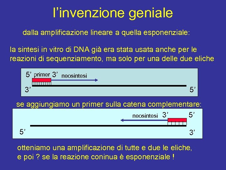 l’invenzione geniale dalla amplificazione lineare a quella esponenziale: la sintesi in vitro di DNA