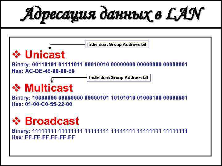 Адресация данных в LAN Individual/Group Address bit v Unicast Binary: 00110101 01111011 00010010 000000001