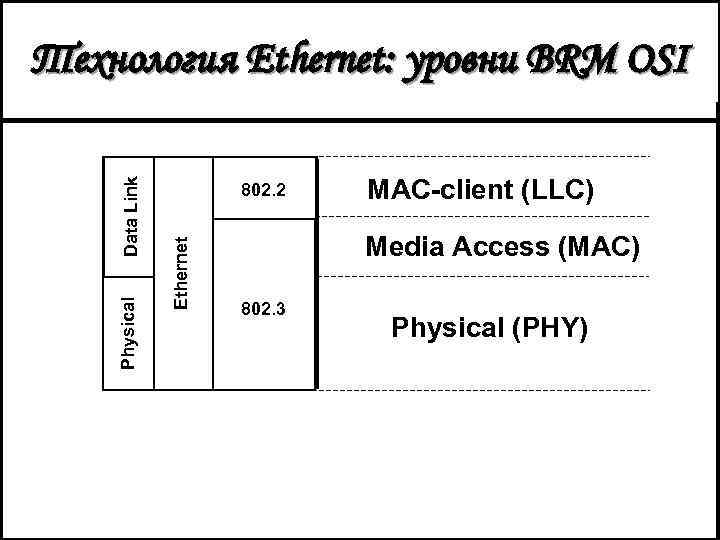 802. 2 Ethernet Physical Data Link Технология Ethernet: уровни BRM OSI MAC-client (LLC) Media