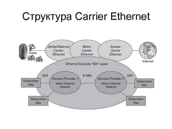 Структура Carrier Ethernet 