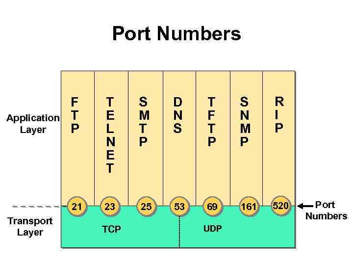 Port Numbers Transport Layer T E L N E T S M T P