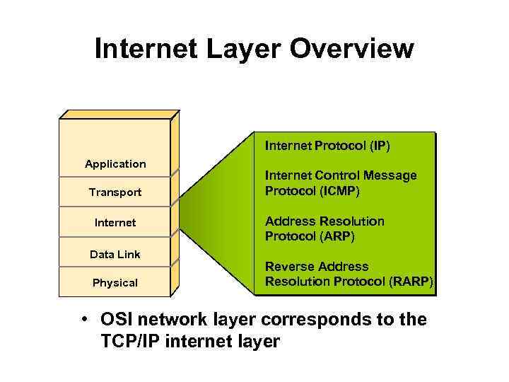 Internet Layer Overview Internet Protocol (IP) Application Transport Internet Data Link Physical Internet Control