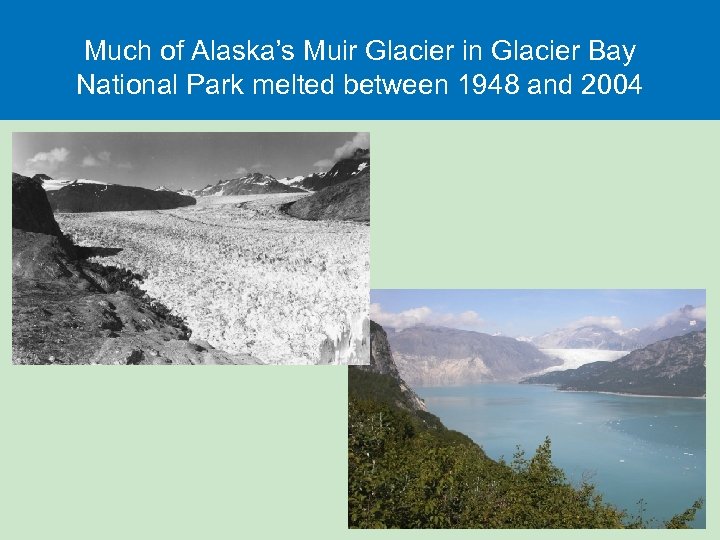 Much of Alaska’s Muir Glacier in Glacier Bay National Park melted between 1948 and
