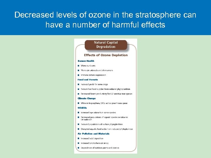 Decreased levels of ozone in the stratosphere can have a number of harmful effects