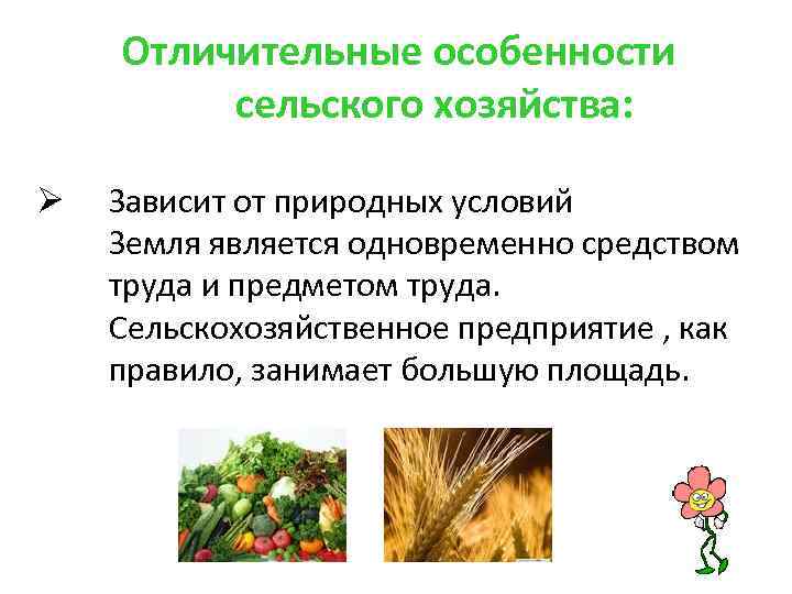Отличительные особенности сельского хозяйства: Ø Зависит от природных условий Земля является одновременно средством труда