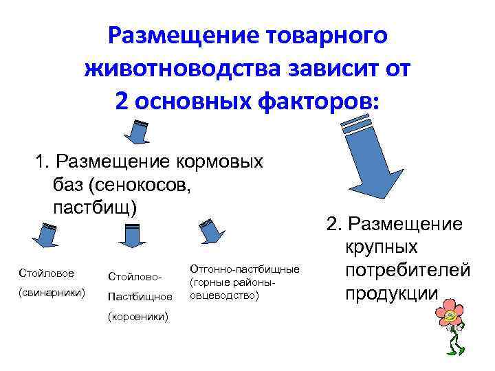 Размещение товарного животноводства зависит от 2 основных факторов: 1. Размещение кормовых баз (сенокосов, пастбищ)