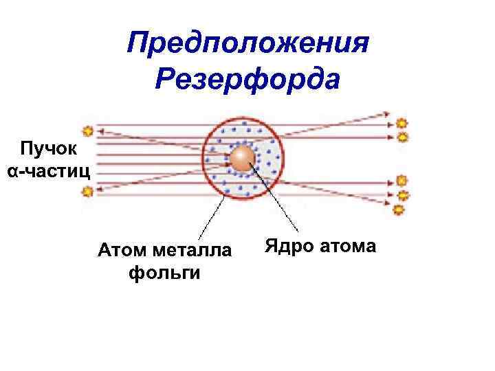 Предположения Резерфорда Пучок α-частиц Атом металла фольги Ядро атома 