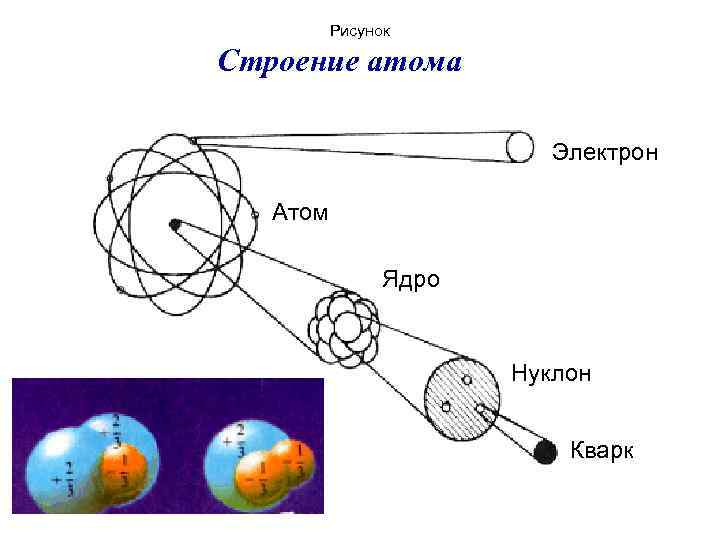 Рисунок Строение атома Электрон Атом Ядро Нуклон Кварк 